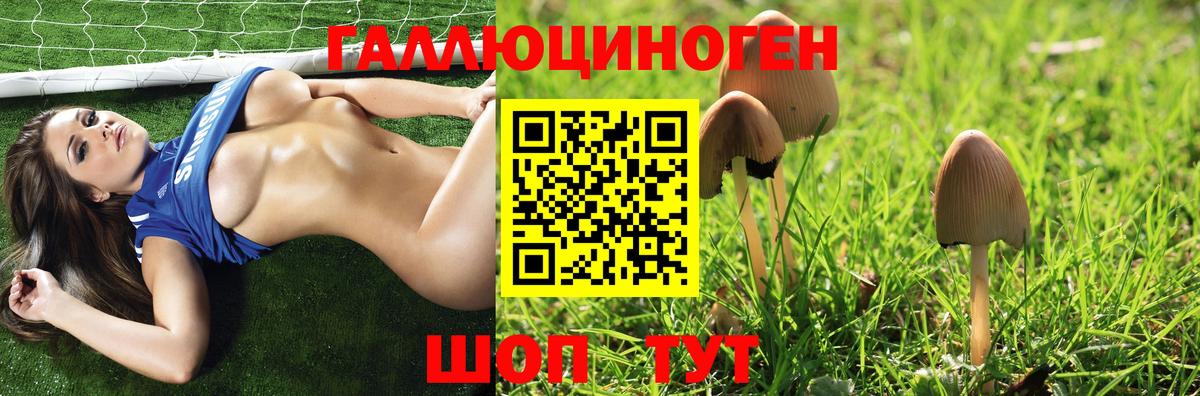 Снежинск  Псилоцибиновые грибы Magic Shrooms  Вход с VPN  Галлюциногенные грибы мухоморы 